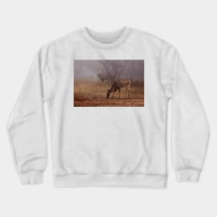 Buck eyes doe - White-tailed Deer Crewneck Sweatshirt